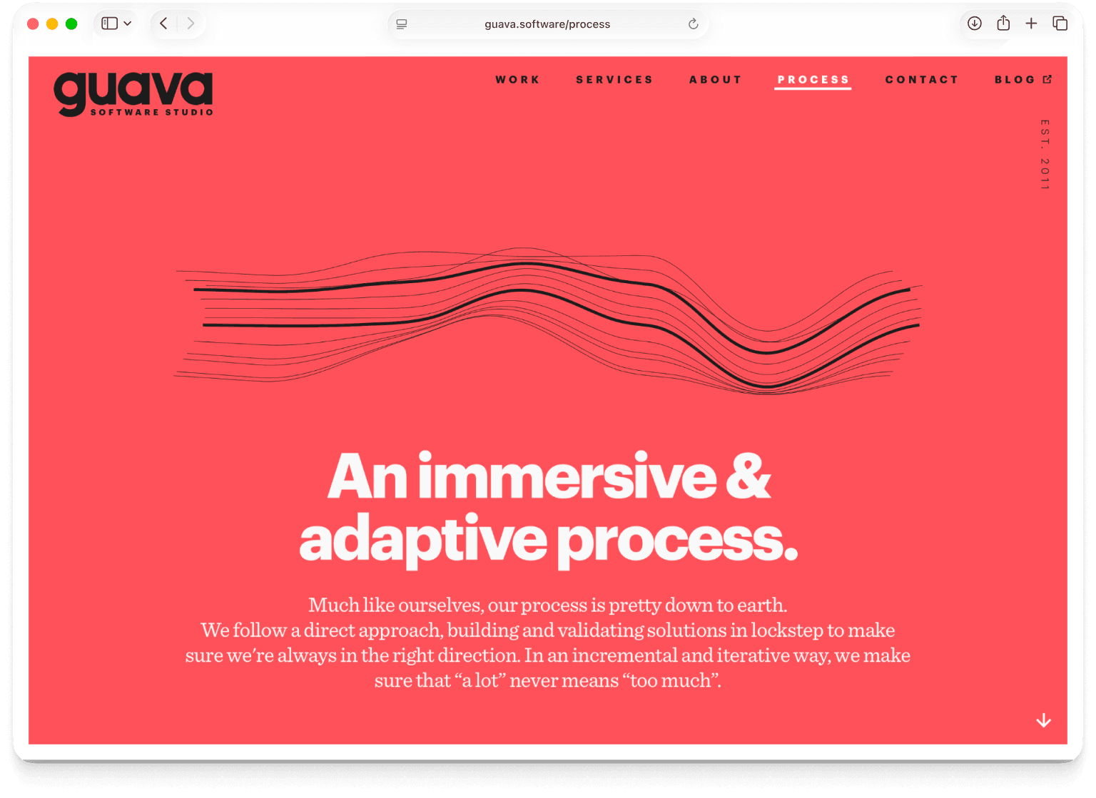 Guava’s process page — the headline “An immersive & adaptive process.” over a flowing line illustration on a coral background.